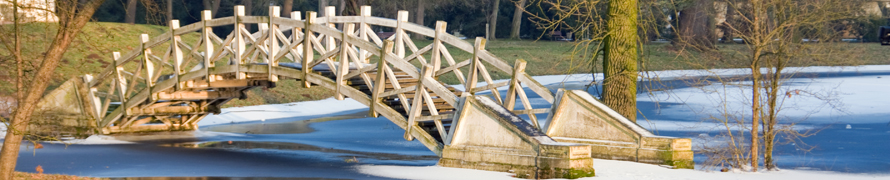 Headerfoto Aktuelles